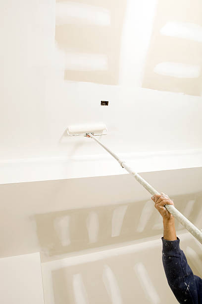 Professional Dry wall and painting in Oakdale, MN